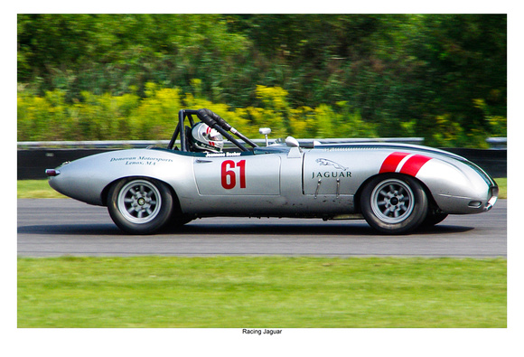 Racing Jaguar